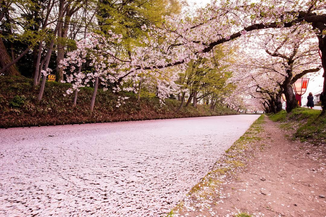 Hirosaki Park